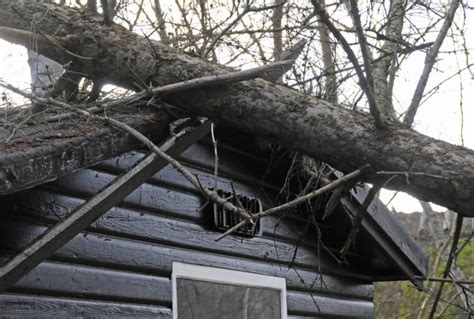 Forsikring: Huseiere kan få ansvaret for skader etter stormen