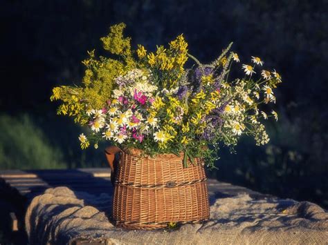 Summer Still Life With Bouquet Of Wildflowers Stock Photo Image Of