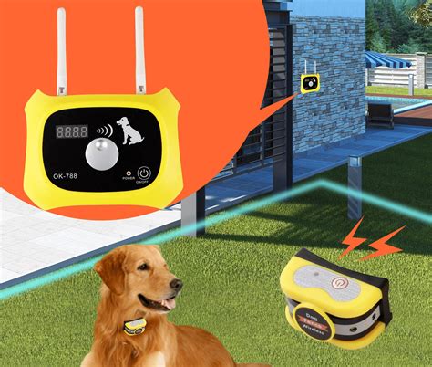 Best Wireless Dog Fence 2020 Roundup Review Heel Boy Heel