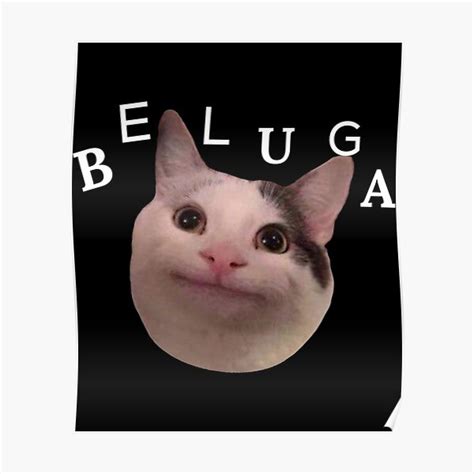 Beluga Cat Discord Poster For Sale By Izabealvin Redbubble