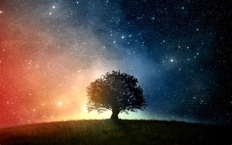 The tutorial has been used on an image that will feature in our new ios app snap the difference. space, Trees, Grass, Stars Wallpapers HD / Desktop and ...