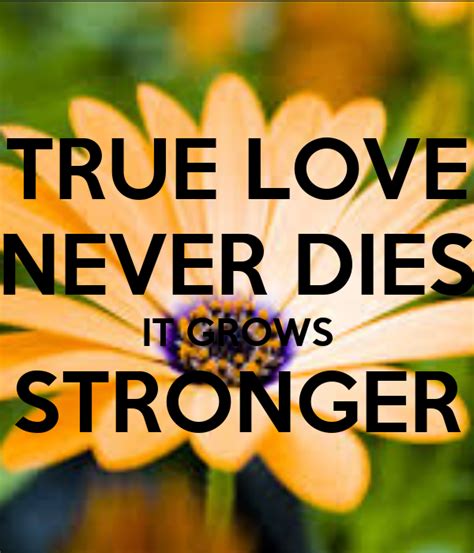 True love never dies on wn network delivers the latest videos and editable pages for news & events, including entertainment, music, sports, science and more, sign up and share your playlists. TRUE LOVE NEVER DIES IT GROWS STRONGER - KEEP CALM AND ...