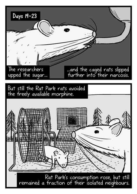Rat Park Drug Experiment Comic Stuart Mcmillen Comics