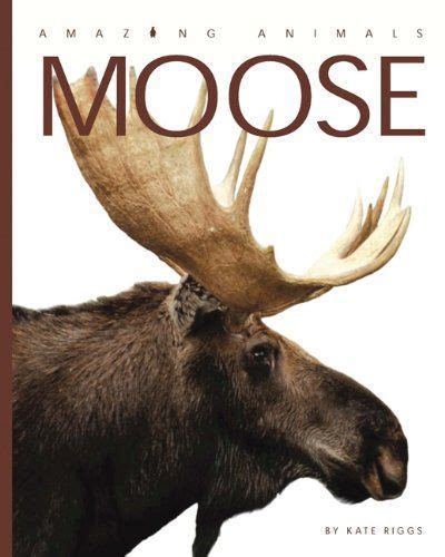 2012 Amazing Animals Moose By Kate Riggs Another Awesome Nonfiction