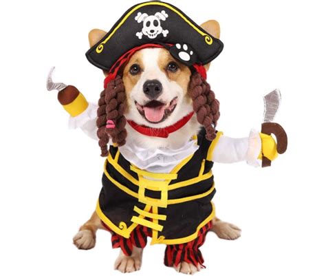 Pirate Dog Costume Thestrangets The Best Ts And Products