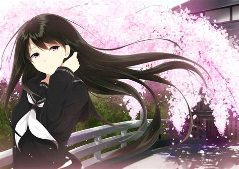 animetta black hair cherry blossoms flowers long hair original pink eyes seifuku