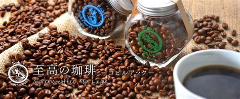 コピルアク コピルアック コーヒー豆 100％野生 ジャワ島 インドネシア 希少価値 最高級 送料無料 テレビで話題 100g 幻のコーヒー
