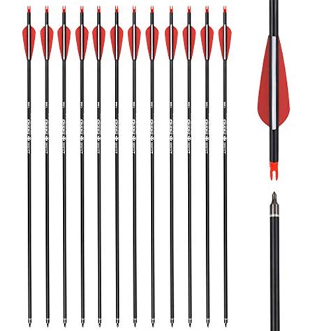 28 Inch Carbon Arrow Hunting Arrows With 100 Grain Removable Tips For