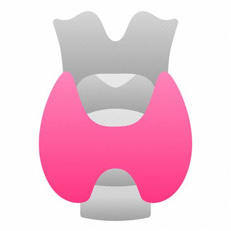 Biologyhealth Human Organ Thyroid Icon Download On Iconfinder