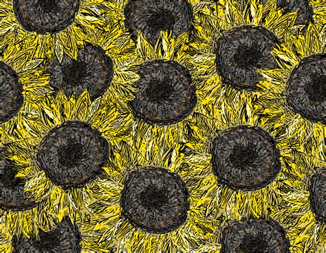 Sunflower Sick The Rumpus