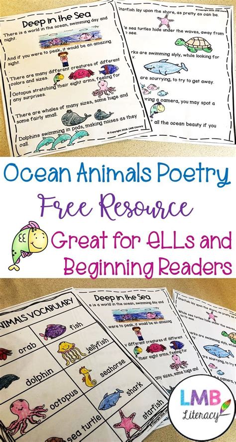 Free Esl Newcomer Activities Ocean Animals Poetry And Vocabulary