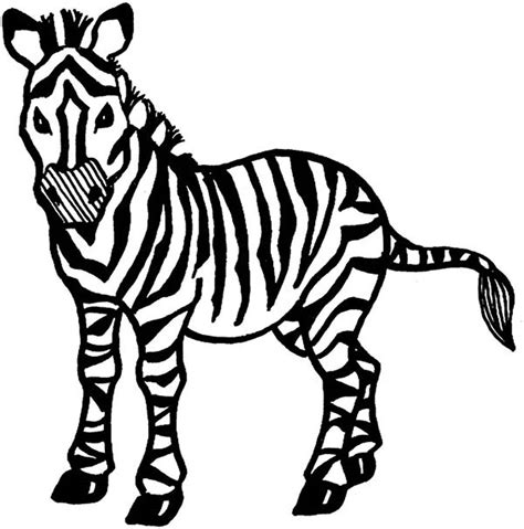 Drawing Zebra 12996 Animals Printable Coloring Pages
