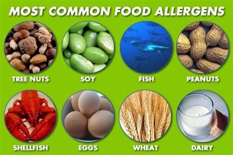 Iso Resource Center Food Allergen Management