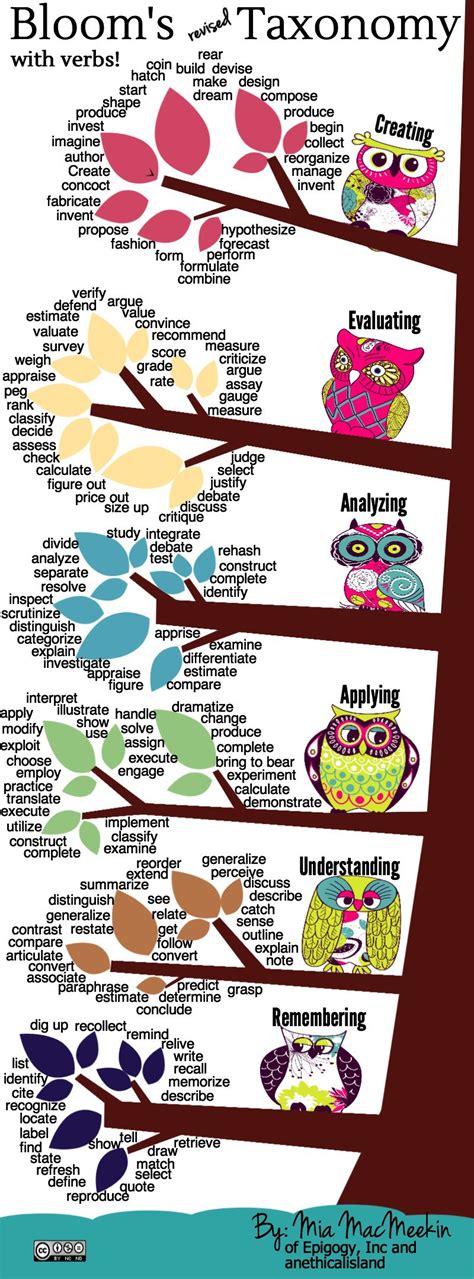 Blooms Revised Taxonomy Action Verbs Infographic E Learning Infographics