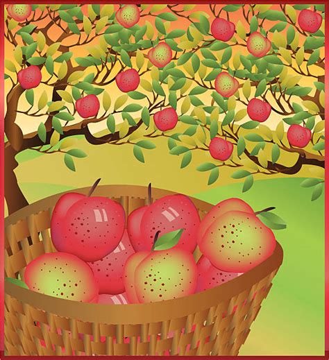 Top 60 Apple Picking Images Clip Art Vector Graphics And Illustrations