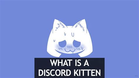 23 How To Be A Discord Kitten 122022 Phần Mềm Portable