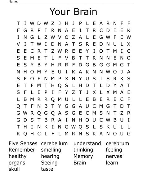 Your Brain Word Search Wordmint
