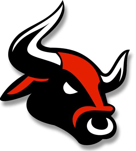 Bull Png All Png All