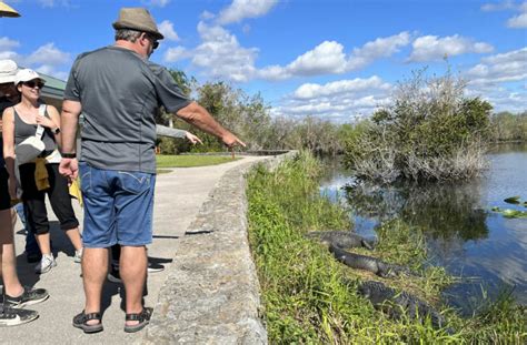 Everglades National Park 2024 Insider Tips For Best Visit