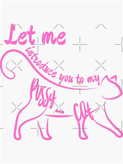let me introduce you to my pussy pink cat pornographic naughty words sticker for sale