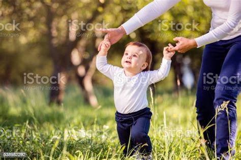 Mother Holding Hands Of Her Son Making First Steps Stock Photo