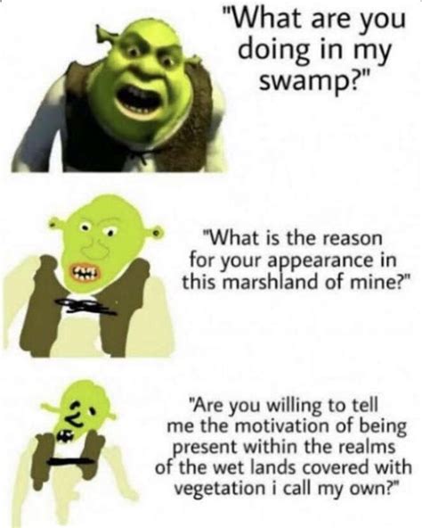 The Best Swamp Memes Memedroid