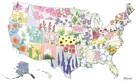United States State Flower Map Etsy