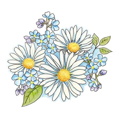 Daisy Bouquet Watercolor Hand Painted Clipart Digital Etsy