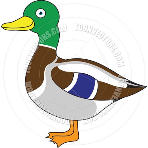 Mallard Duck Clipart Free 10 Free Cliparts Download Images On