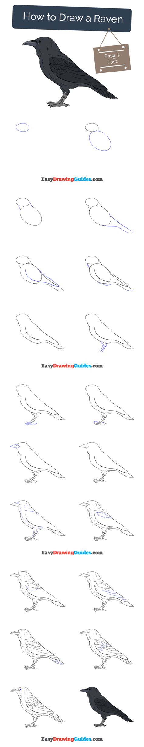 Learn How To Draw A Raven Easy Step By Step Drawing Tutorial For Kids