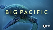 Big Pacific | Apple TV