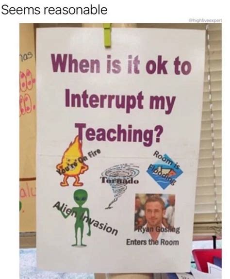 Memes For Teachers 24 Pics