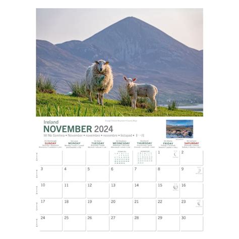 A4 Irish Sheep 2021 Calendar By Liam Blake