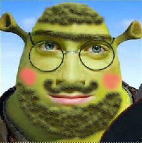 Shreks A Harry Wizard Rshrek