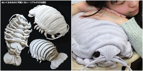 freakishly cute giant isopod pillows dangerous minds