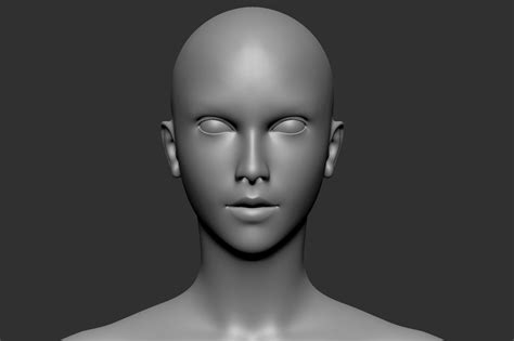 female head 3d model free 3d model cgtrader