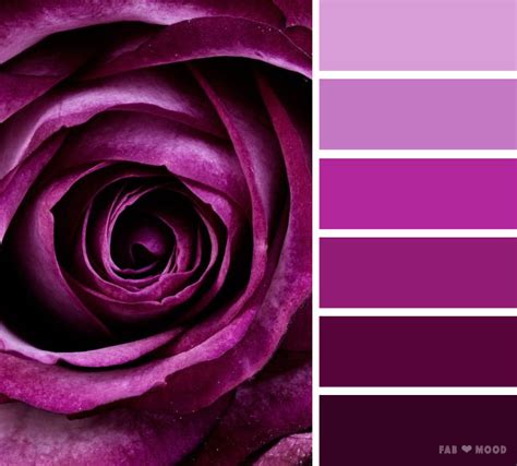 Purple Rose Color Scheme Shades Of Dark Puprle Color Palette