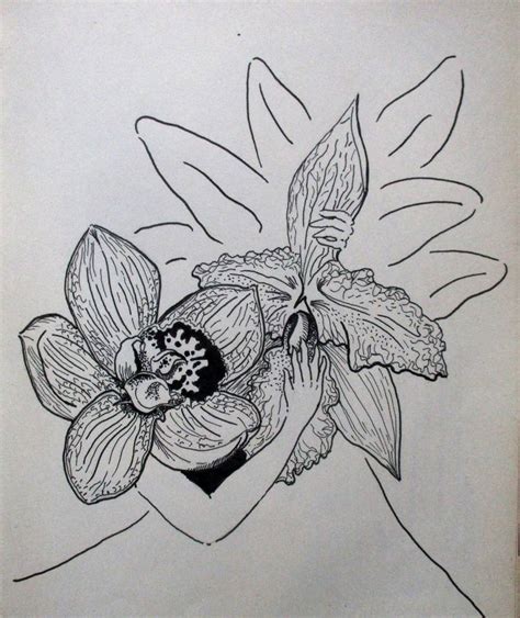 Flower Sex I Drawing By Ero Ica Saatchi Art