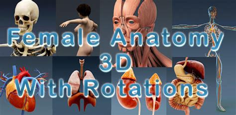 Female Body Visualizer Simulator Game Ihsanpedia