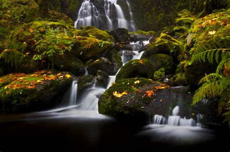 Water Cascades In Autumn Forest Hd Wallpaper Background Image