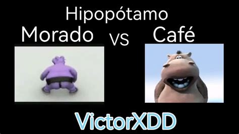 Hipopótamo Morado Vs Café Youtube