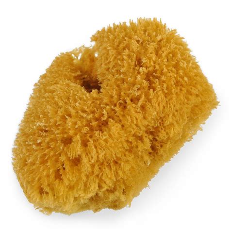 Full Body Sea Sponge For Shower Bath Exfoliating And Cleansing Warm