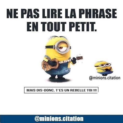 Minions Citationss Instagram Profile Post Aime Pour Plus De