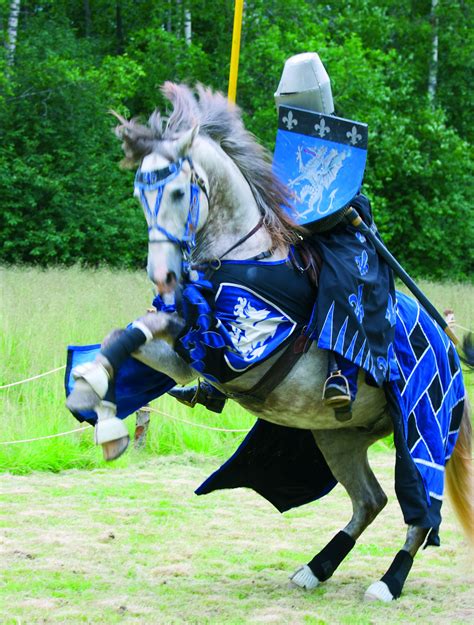 Medieval Tournament At Raseborg Castle Ruins In Finland Medieval