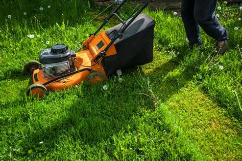 Lawn Mowing Tips For Summer Franks Lawn And Tree Service
