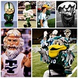 The Insider: Evolution of the Green Wave mascot | Tulane University News