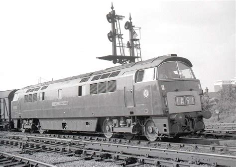 Leamington Spa Br Locomotives British Railways Class 52 Diesel Locomotive D1002 Western