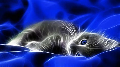 4k Photo Of 3d Cat Hd Wallpapers