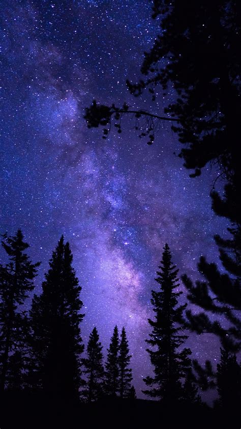 Galaxy Trees Wallpapers On Wallpaperdog