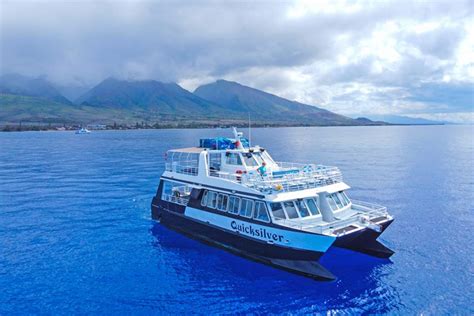 5 Of The Best Maui Catamaran Tours